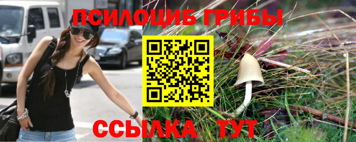 Галлюциногенные грибы Cubensis  купить закладку  Старая Русса  Вход с VPN 